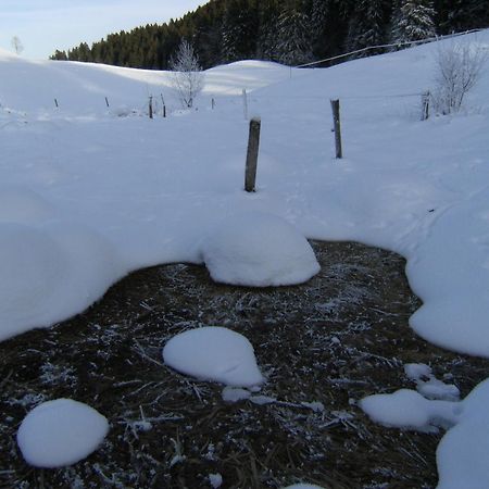 Appartement De Vacances Niederer La Côte-aux-Fées Zewnętrze zdjęcie